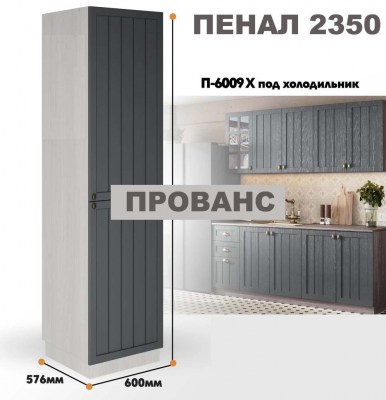 provans_p_6009 x_6